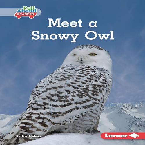 Cover of Meet a Snowy Owl