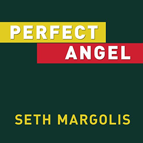Cover of Perfect Angel