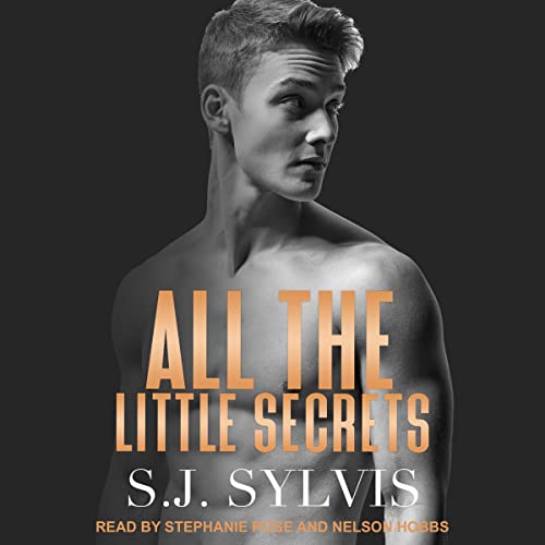 Cover of All the Little Secrets