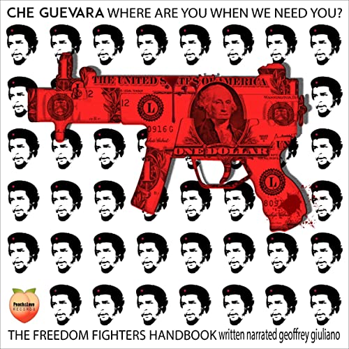 Cover of Che Guevara Where Are You When We Need You?