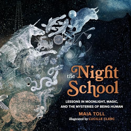 Cover of The Night School