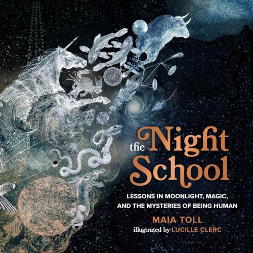 Cover of The Night School