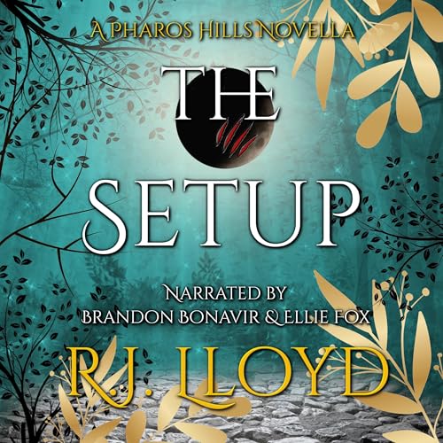 Cover of The Setup