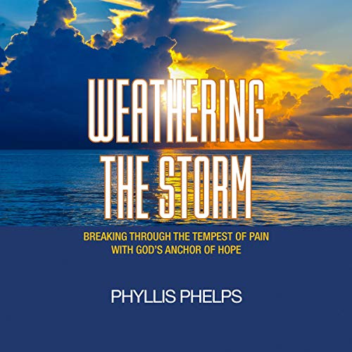 Cover of Weathering the Storm