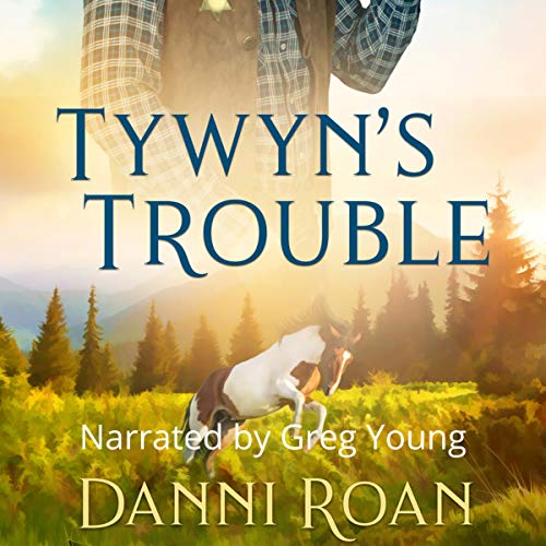 Cover of Tywyn's Trouble