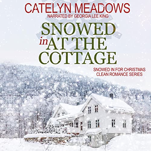 Cover of Snowed In at the Cottage