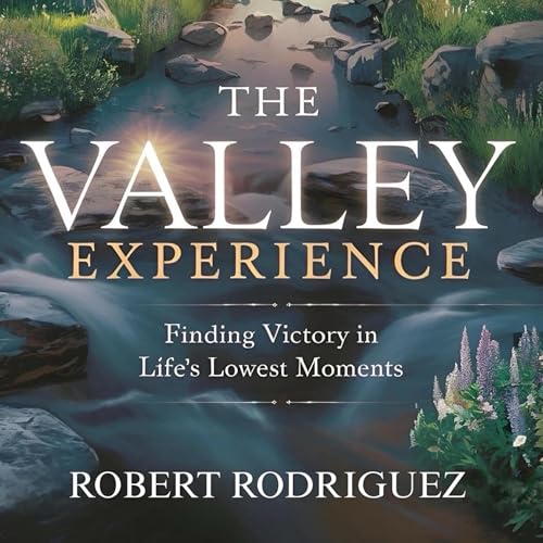 Cover of The Valley Experience