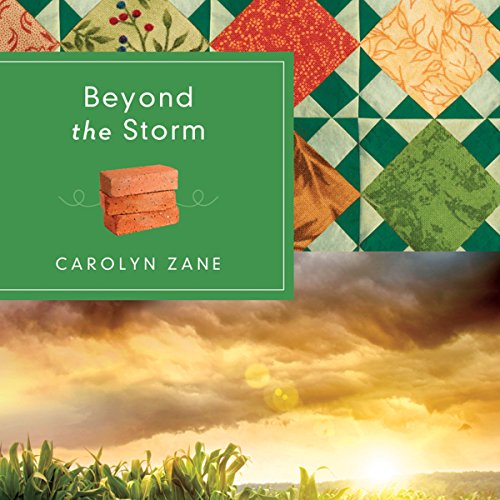 Cover of Beyond the Storm