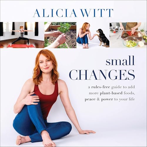 Cover of Small Changes