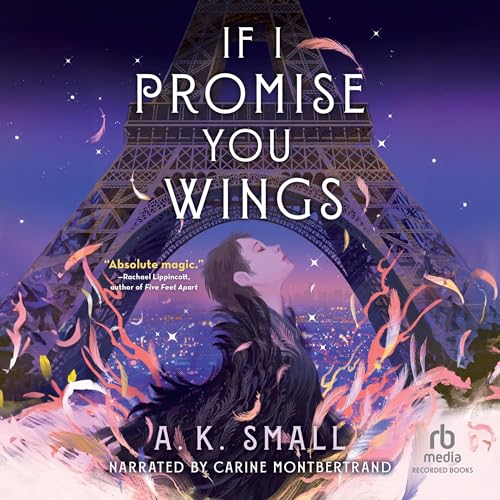 Cover of If I Promise You Wings