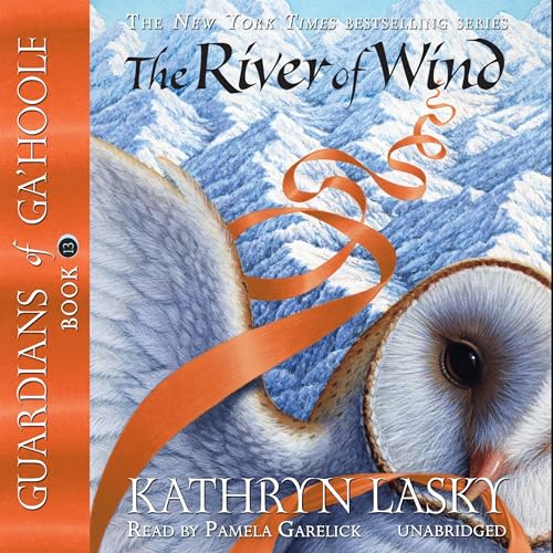 Cover of The River of Wind