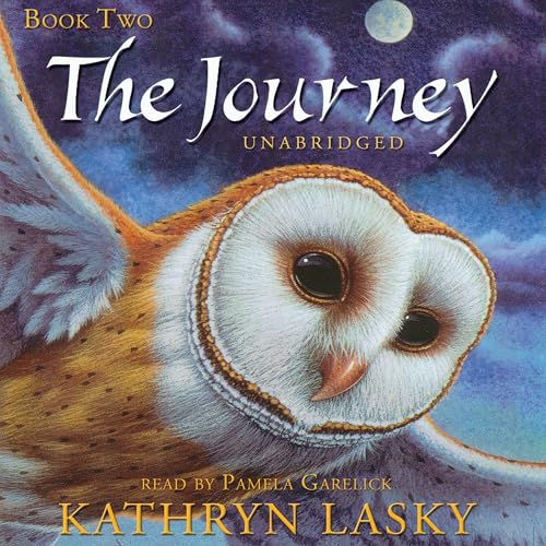 Cover of The Journey