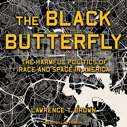 Cover of The Black Butterfly