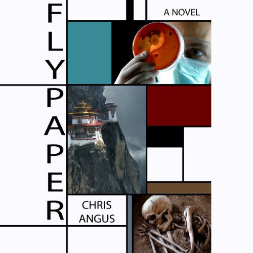 Cover of Flypaper
