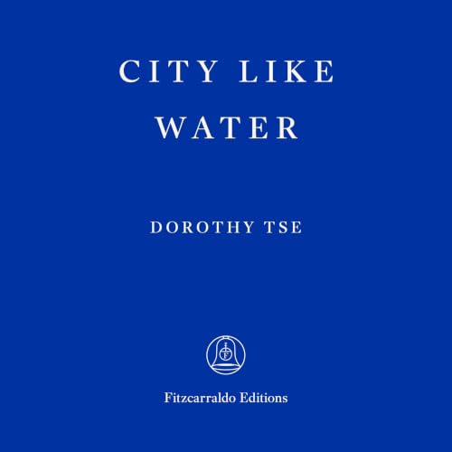 Cover of City Like Water