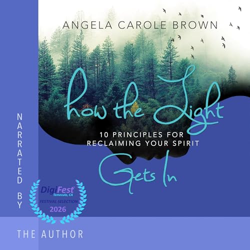 Cover of How the Light Gets In