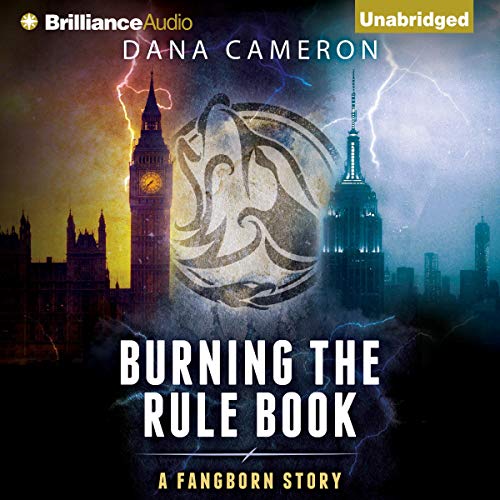 Cover of Burning the Rule Book