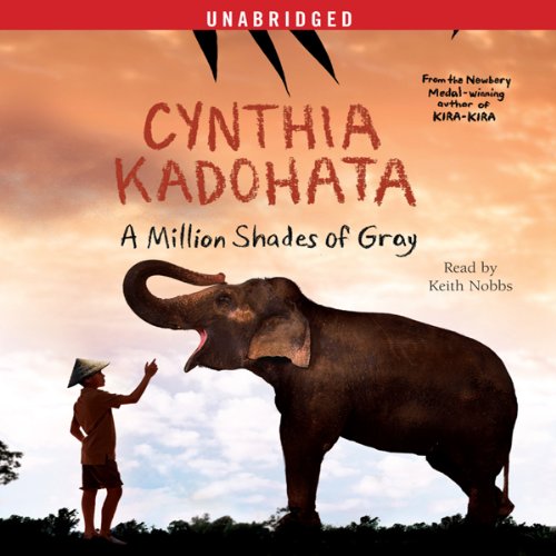 Cover of A Million Shades of Gray