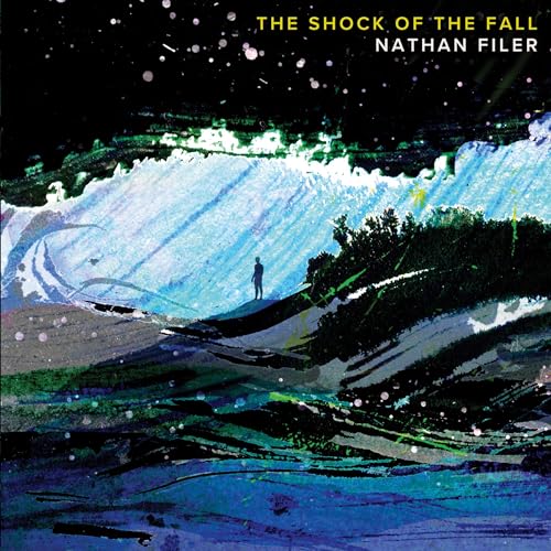 Cover of The Shock of the Fall