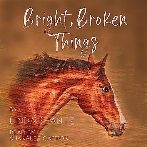 Cover of Bright, Broken Things