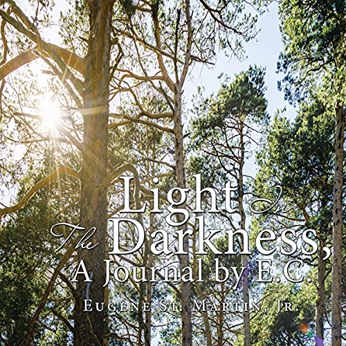 Cover of Light in the Darkness, a Journal by E.C.