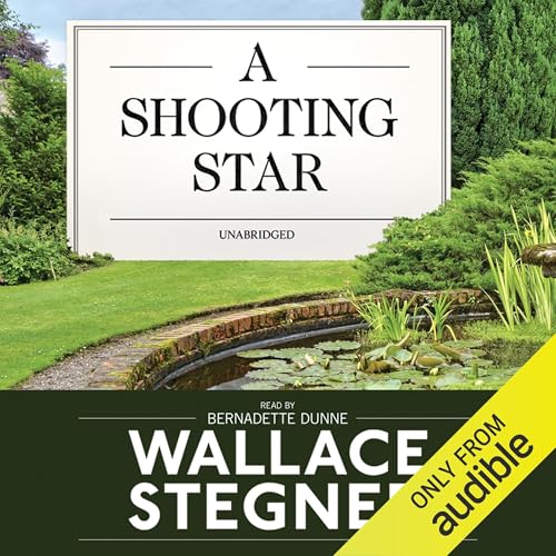 Cover of A Shooting Star
