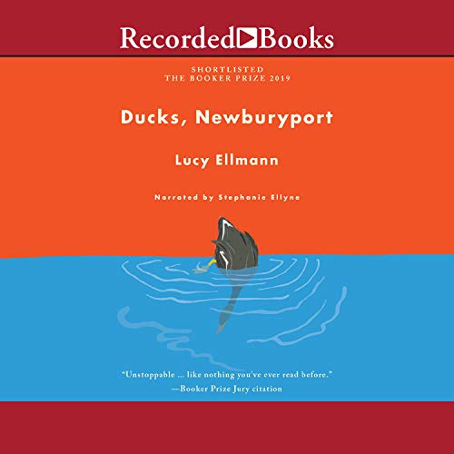 Cover of Ducks, Newburyport
