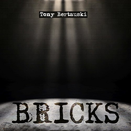 Cover of Bricks