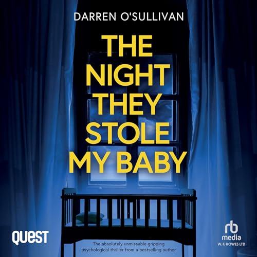 Cover of The Night they Stole My Baby