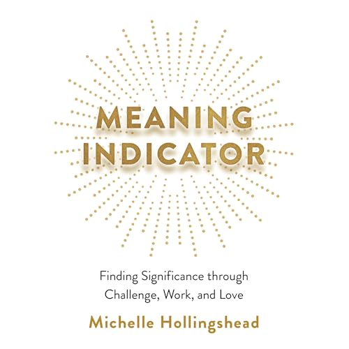 Cover of Meaning Indicator
