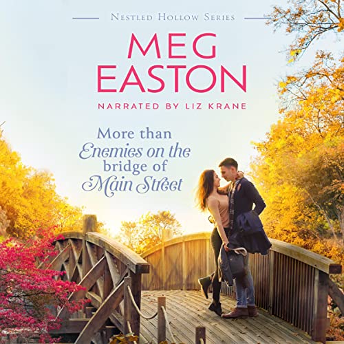 Cover of More Than Enemies on the Bridge of Main Street