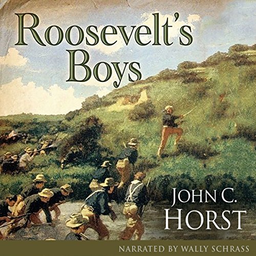 Cover of Roosevelt's Boys