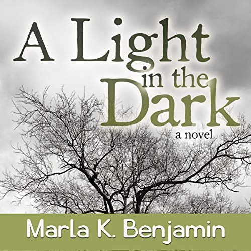 Cover of A Light in the Dark