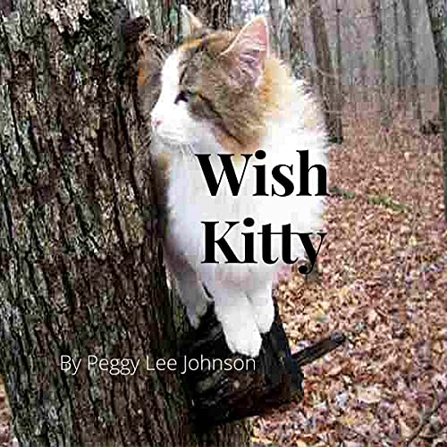 Cover of Wish Kitty