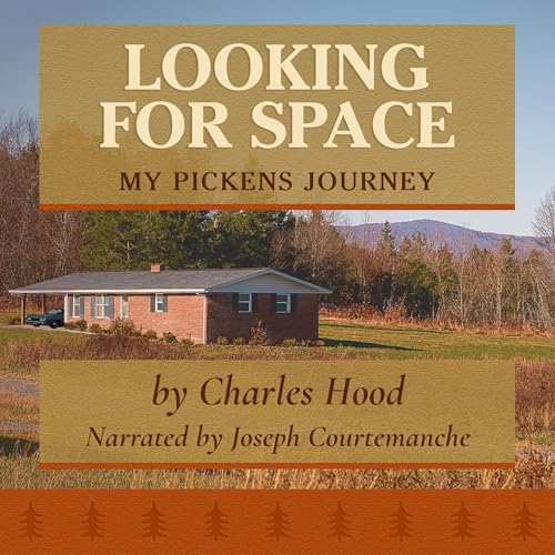 Cover of Looking for Space