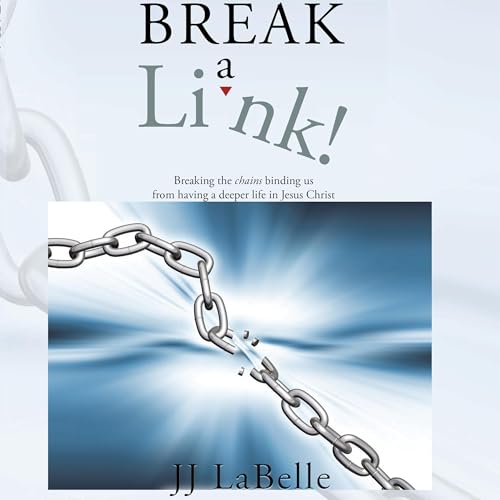 Cover of Break a Link!