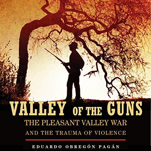 Cover of Valley of the Guns