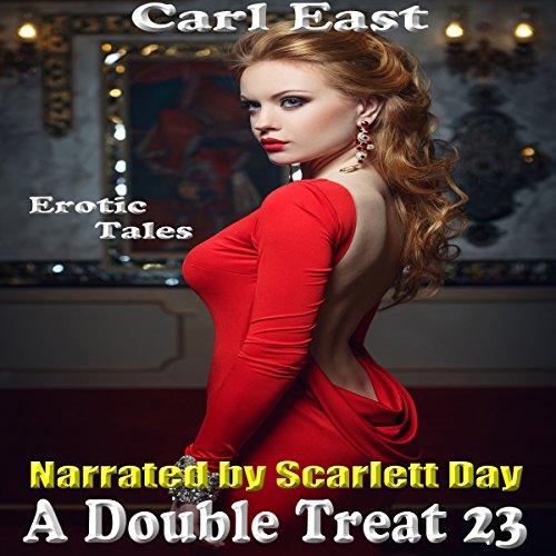 Cover of A Double Treat 23