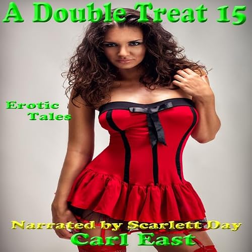 Cover of A Double Treat 15