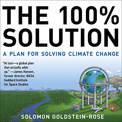 Cover of The 100% Solution