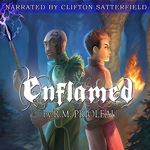 Cover of Enflamed