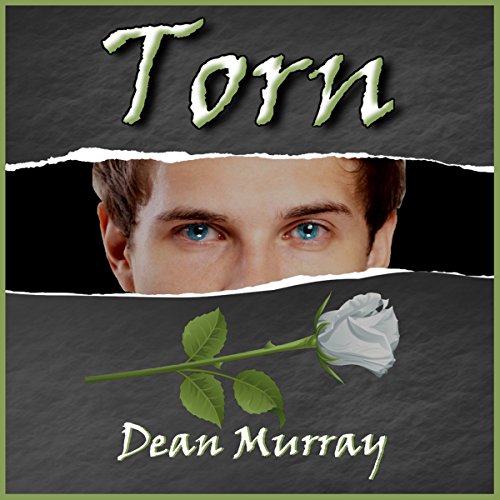 Cover of Torn