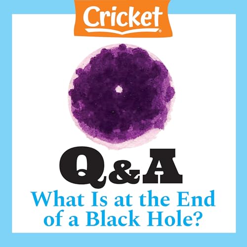 Cover of What Is at the End of a Black Hole?