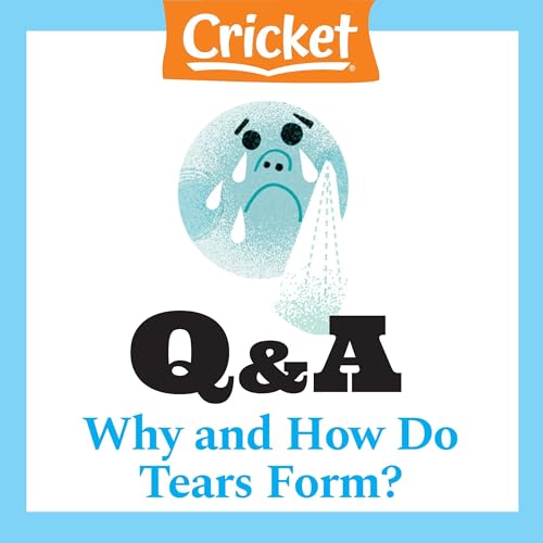 Cover of Why and How Do Tears Form?