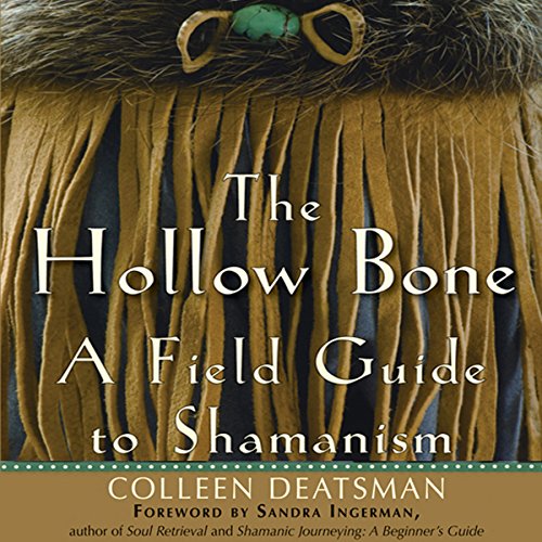 Cover of The Hollow Bone