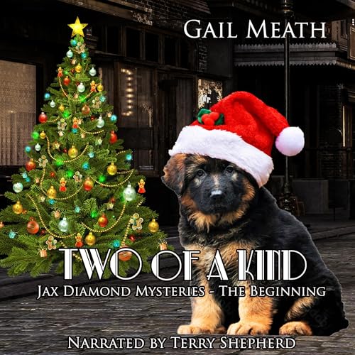 Cover of Two of a Kind: The Beginning