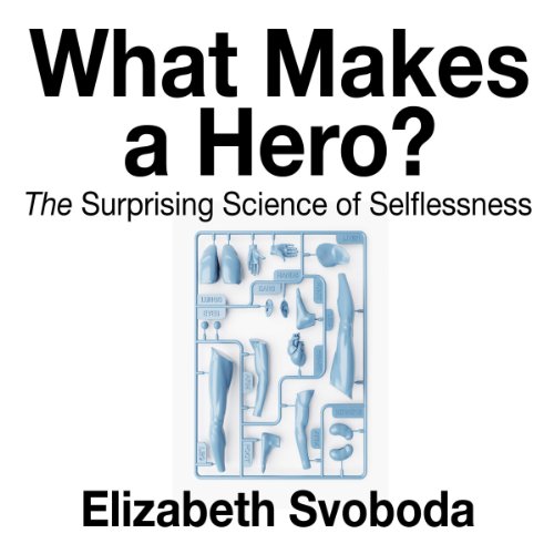 Cover of What Makes a Hero?
