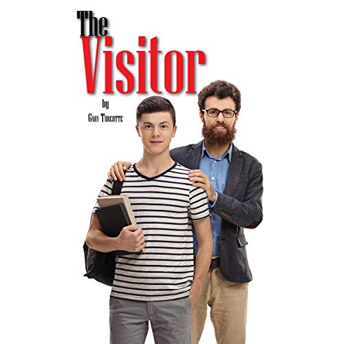 Cover of The Visitor