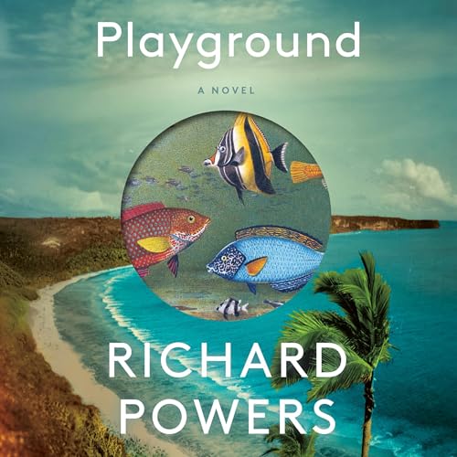 Cover of Playground