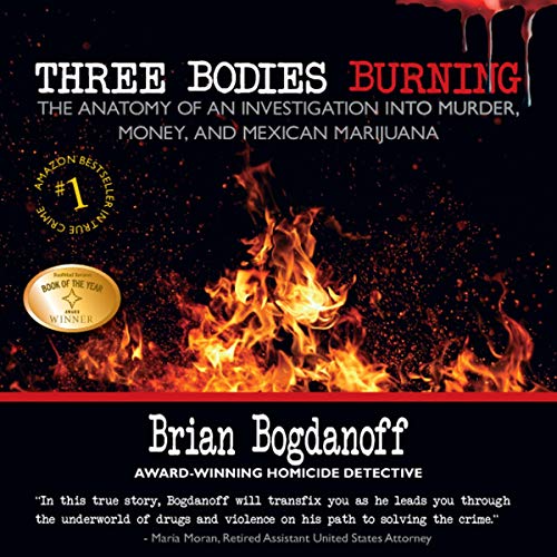 Cover of Three Bodies Burning